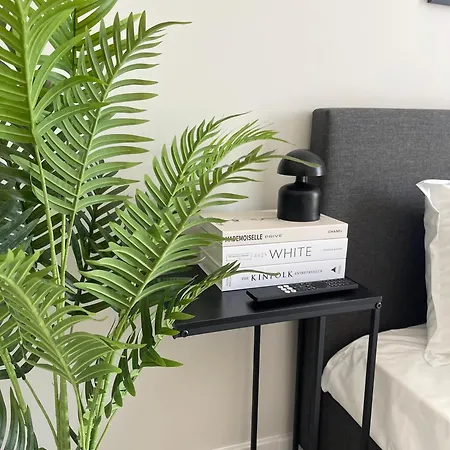 公寓 Marea Garden 拉夫达